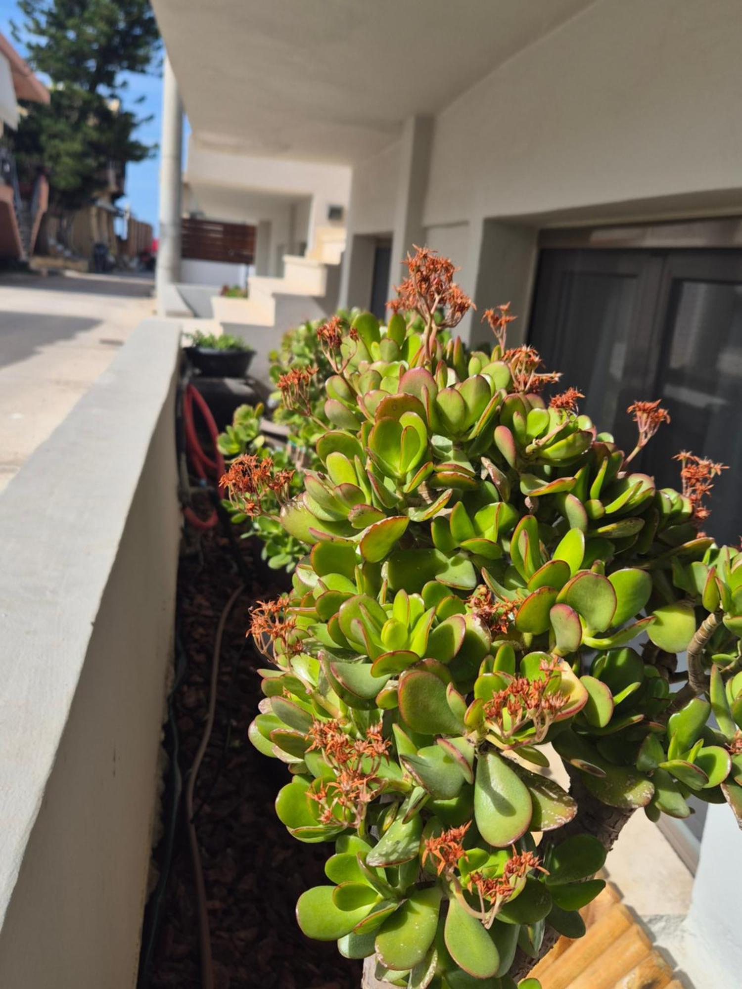 Calmare Suites Rethymno Exterior foto